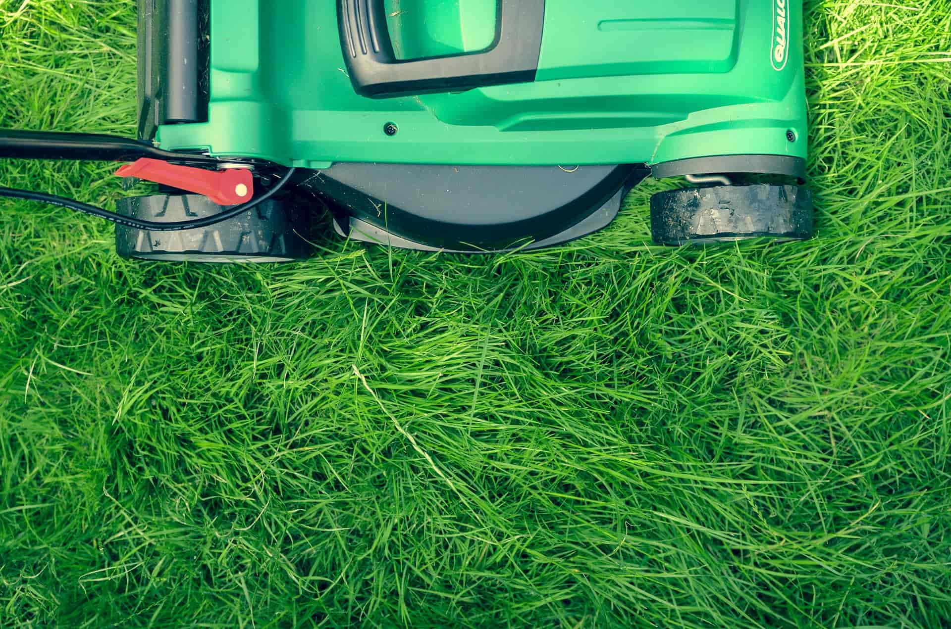 grass-1840929_1920 (1)-min